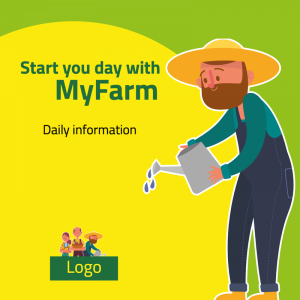 yellow farm social media design post