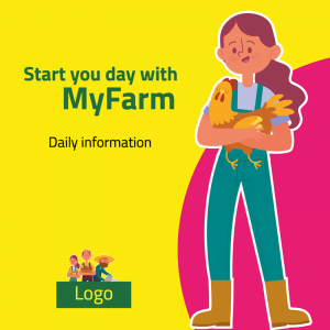 yellow farm social media design post