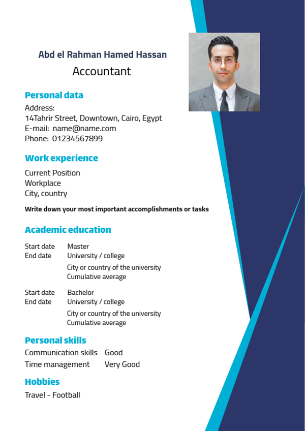 Professional cv design template 