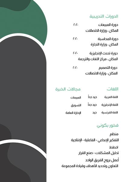 Classic CV design online ad maker Classic CV design online ad maker