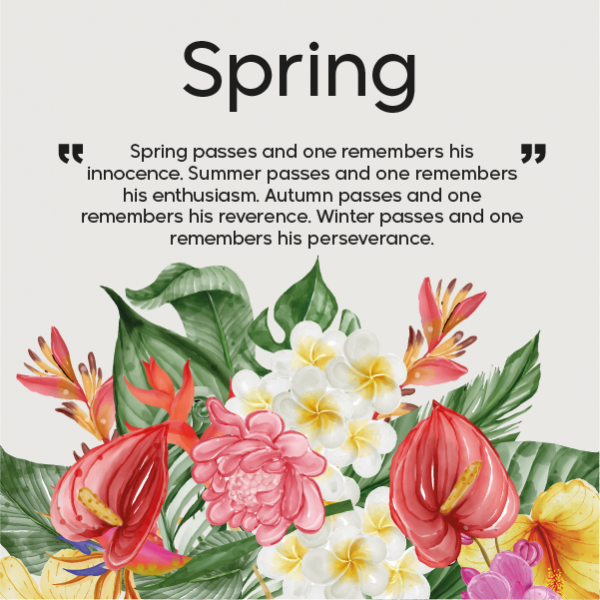 Spring facebook post design template online 