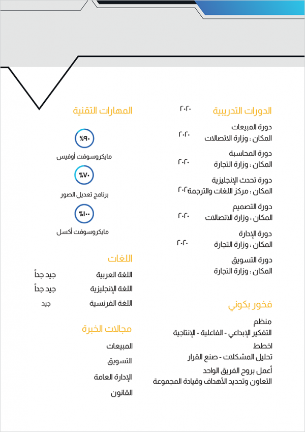 Classic CV example | form easily to edit and download 