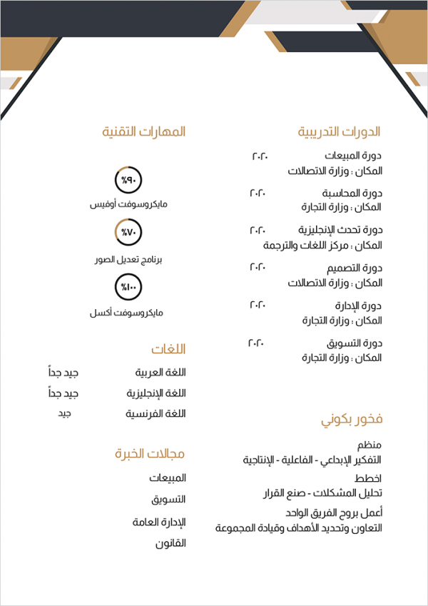 Legal CV Template | CV Template with Geometric Shapes Editable