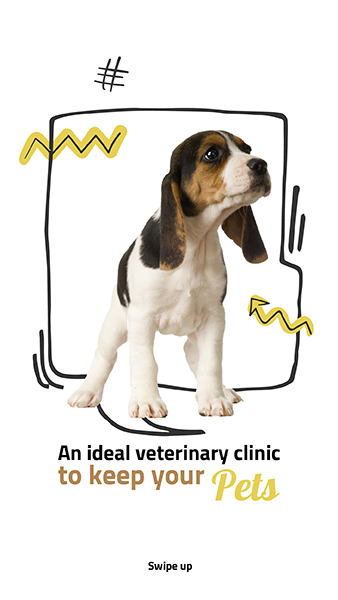 Veterinary clinic for pets story design online 