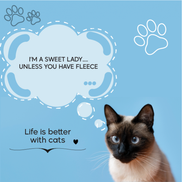Cute Cat Social Media Post Design | Pet Shop Facebook Post