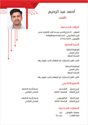 Curriculum vitae sample | form with geometric red shapes