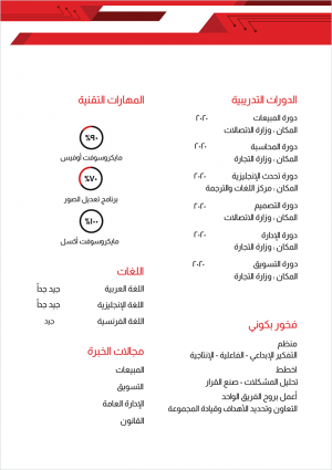 Curriculum vitae sample | form with geometric red shapes