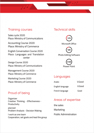 Curriculum vitae sample | form with geometric red shapes