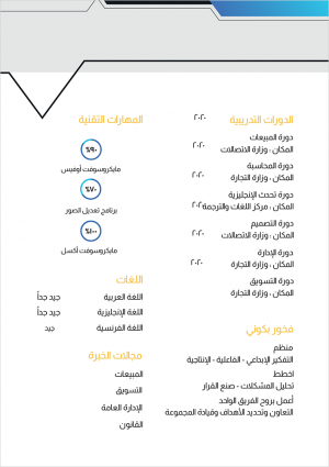 Classic CV example | form easily to edit and download 