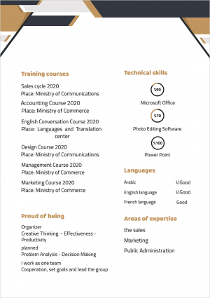 Legal CV Template | CV Template with Geometric Shapes Editable