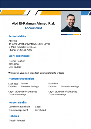 Elegant Online CV | resume maker online