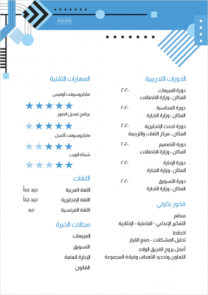  CV template design | format with geometric blue shapes