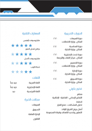 Professional CV sample easily editable with blue color 