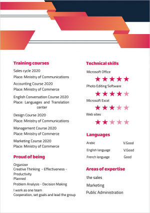 Modern CV template easily editable online 