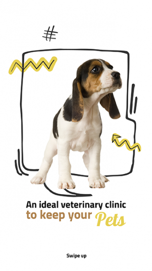 Veterinary clinic for pets story design online 