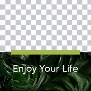 بوست سوشيال ميديا  استمتع بحياتك مع الطبيعة الخضراء