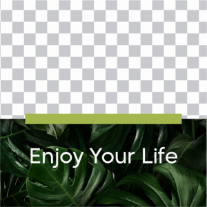 Enjoy your life with the green nature social media post online