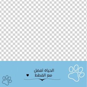 Cute Cat Social Media Post Design | Pet Shop Facebook Post