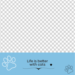 Cute Cat Social Media Post Design | Pet Shop Facebook Post