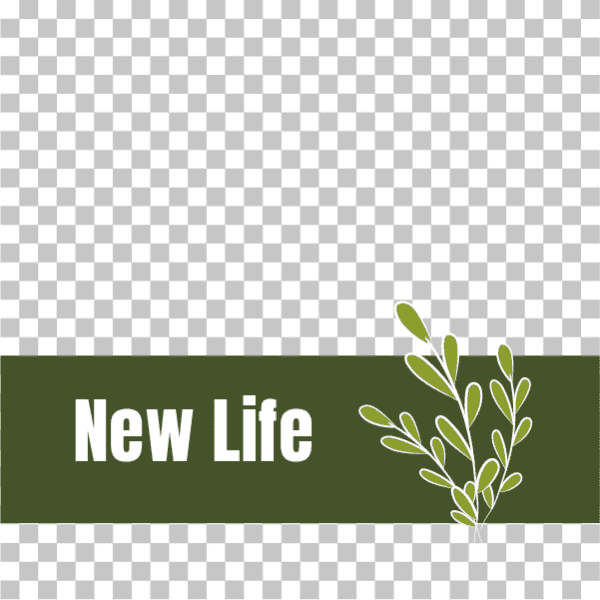 New life with green nature post design template 