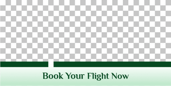 Booking flights to Saudi Arabia green twitter post design 