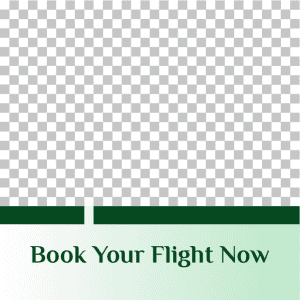 Booking flights to Saudi Arabia green post design template