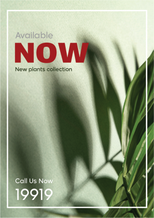 Branding plants collection through poster template