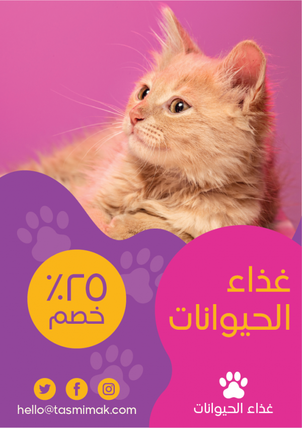 Pet shop flyer template with a beautiful cat