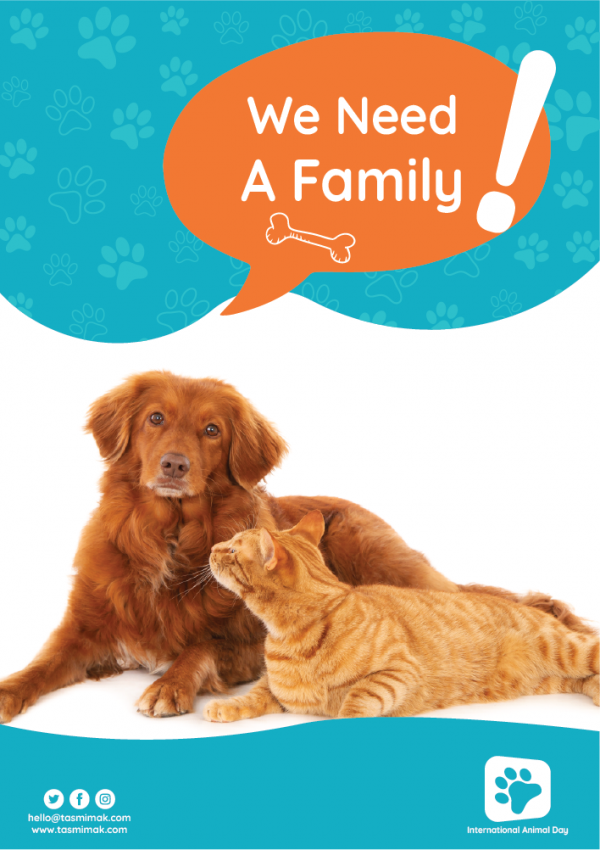 Animal Flyer Templates | Pet Care Flyer Template