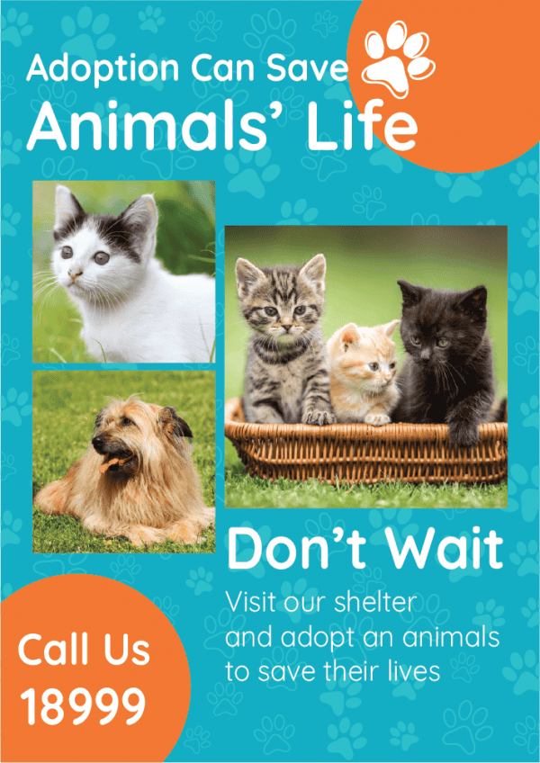 Animal Flyer Templates | Pet Care Flyer Template