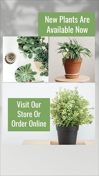 Plant sale Instagram story design template