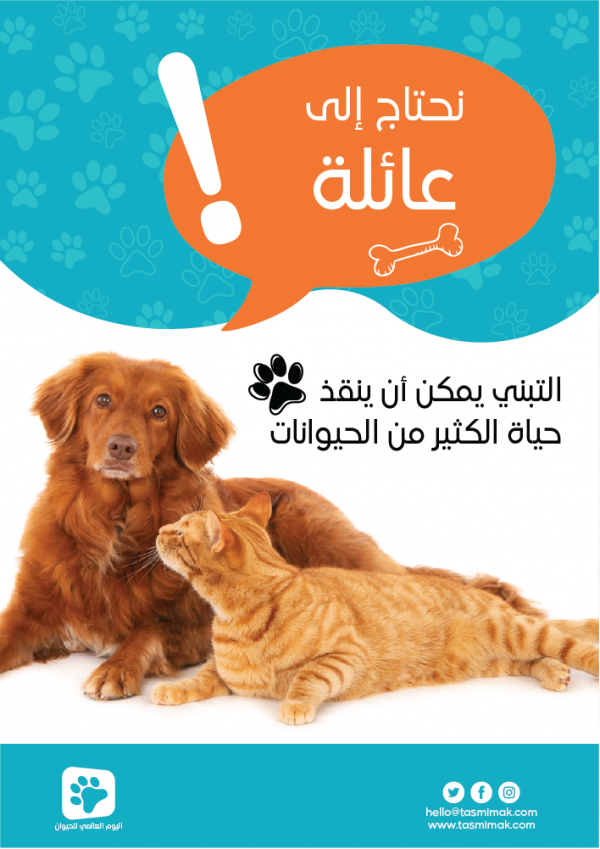 Protect animal poster | pet poster design