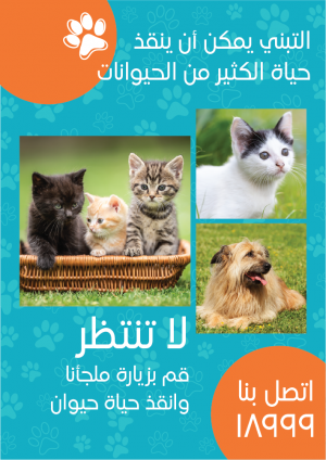 Animal Flyer Templates | Pet Care Flyer Template