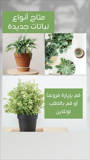 Plant sale Instagram story design template