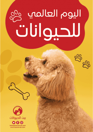 poster on care for animals | Pet poster design