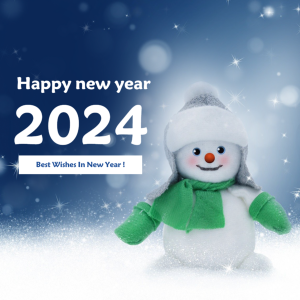Happy New Year Post Template With A Penguin