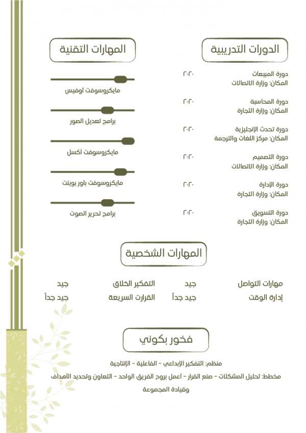 pdf فارغ وجاهز نموذج سيرة ذاتية جاهز للتعبئة 