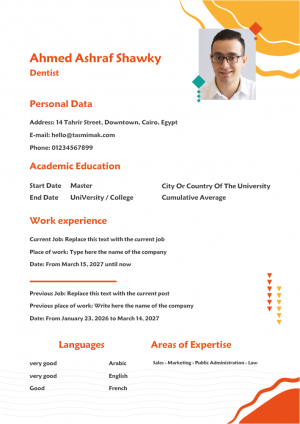  CV Template DOC |  Best Template CV Word