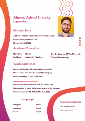 New Design CV | Best Online Styling CV 