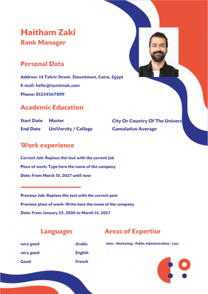 Professional Resume Template | Best CV Maker Online