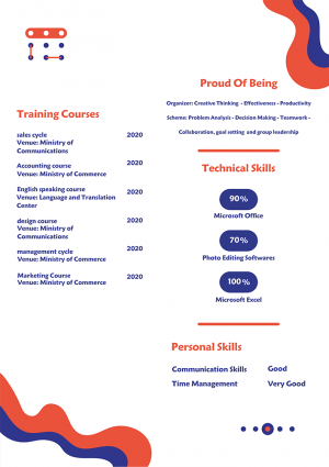 Professional Resume Template | Best CV Maker Online