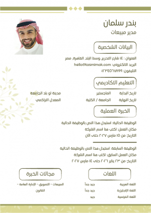Unique Resume Templates |  Arabic CV Template PSD