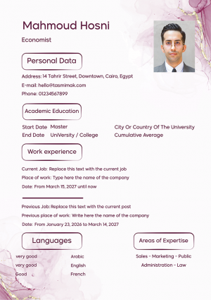 Create CV Online | Professional CV Template Editable