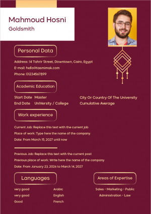 Modern CV Template Word Download | CV Form DOC