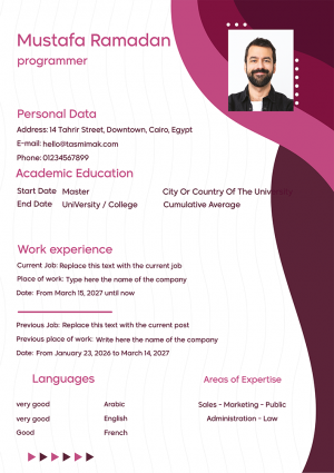 CV Sample PDF |  CV Craft |  Modern CV Template