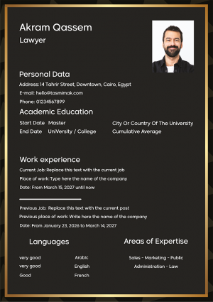 Professional Resume | Black and White CV Template Free
