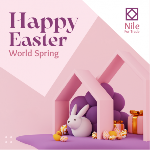 Easter Social Media Posts for Business | Happy Easter Vector