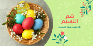 Easter Eggs Twitter Post Design | Happy Easter Templates