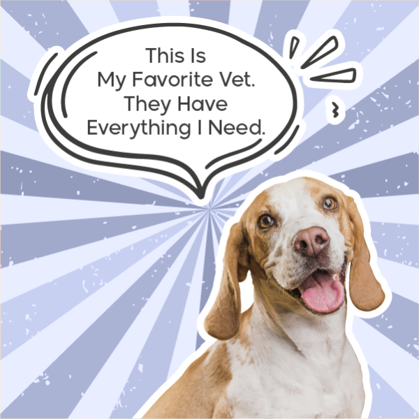 Veterinary Clinic Facebook Post Design with a Speech Bubble