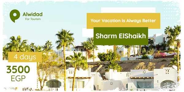 Sharm El Sheikh Tours Twitter Post Template PSD